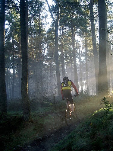 Stunning mountain biking trails of Glentress. Pic credit: Addy.